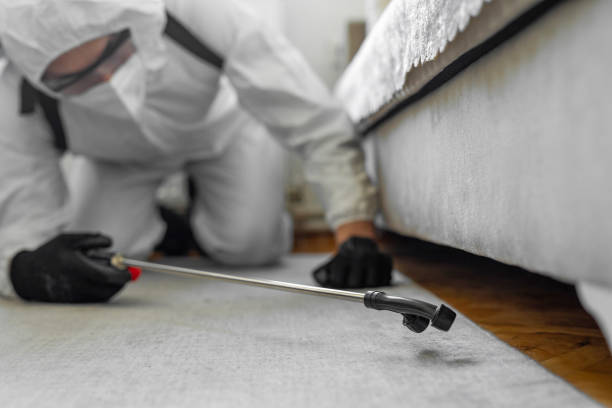 Professional Bed Bug Control technician working in The Dalles, OR