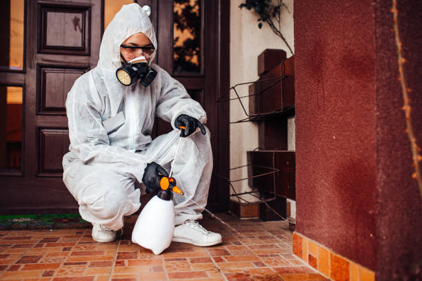 Reliable Bed Bug Control contractor in The Dalles, OR by Nex Pest Control
